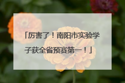 厉害了！南阳市实验学子获全省预赛第一！