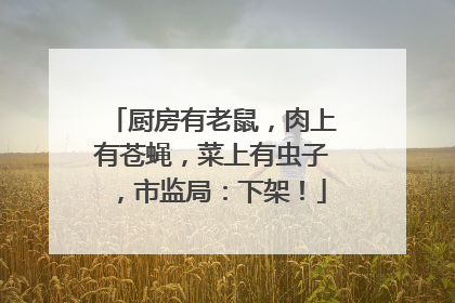 厨房有老鼠，肉上有苍蝇，菜上有虫子，市监局：下架！