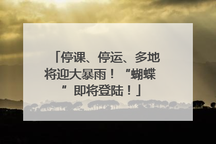 停课、停运、多地将迎大暴雨！“蝴蝶”即将登陆！