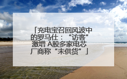 充电宝召回风波中的罗马仕：“访客”激增 A股多家电芯厂商称“未供货”