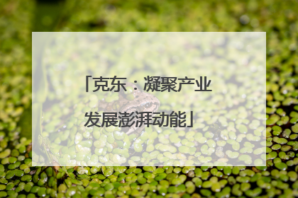 克东：凝聚产业发展澎湃动能
