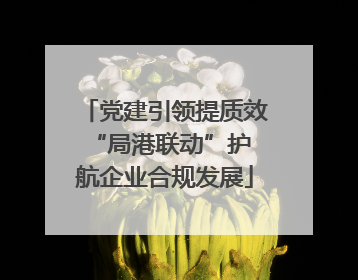 党建引领提质效 “局港联动”护航企业合规发展