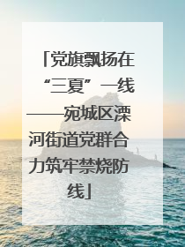 党旗飘扬在“三夏”一线——宛城区溧河街道党群合力筑牢禁烧防线