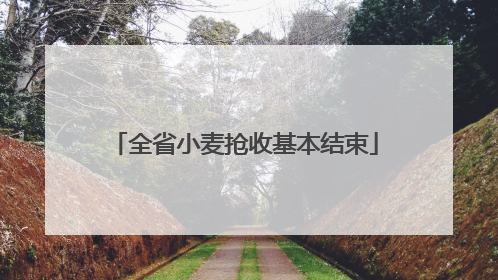 全省小麦抢收基本结束