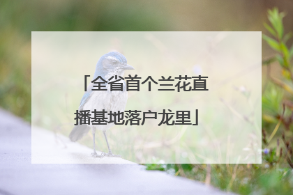 全省首个兰花直播基地落户龙里