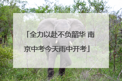 全力以赴不负韶华 南京中考今天雨中开考
