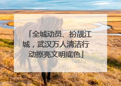 全城动员、扮靓江城，武汉万人清洁行动擦亮文明底色