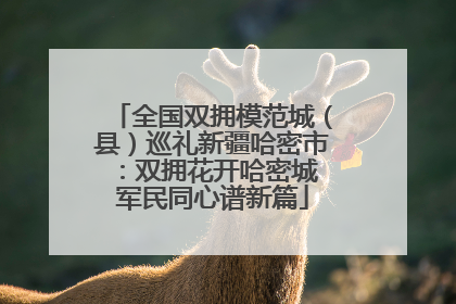 全国双拥模范城（县）巡礼新疆哈密市：双拥花开哈密城 军民同心谱新篇
