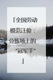 全国劳动模范汪俊：分拣场上的“冠军手”