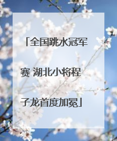 全国跳水冠军赛 湖北小将程子龙首度加冕