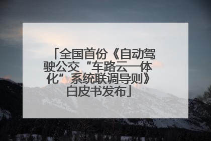全国首份《自动驾驶公交“车路云一体化”系统联调导则》白皮书发布