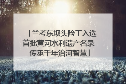 兰考东坝头险工入选首批黄河水利遗产名录 传承千年治河智慧