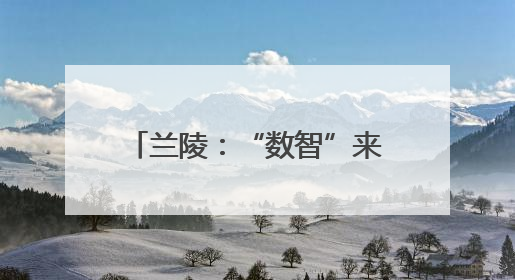 兰陵：“数智”来种田，乡村换新颜