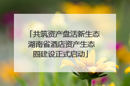 共筑资产盘活新生态 湖南省酒店资产生态圈建设正式启动