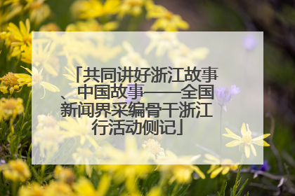 共同讲好浙江故事、中国故事——全国新闻界采编骨干浙江行活动侧记
