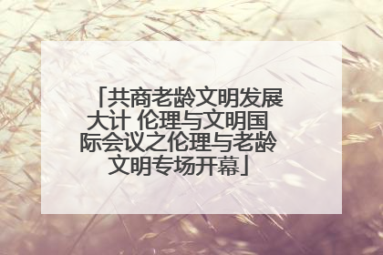 共商老龄文明发展大计 伦理与文明国际会议之伦理与老龄文明专场开幕