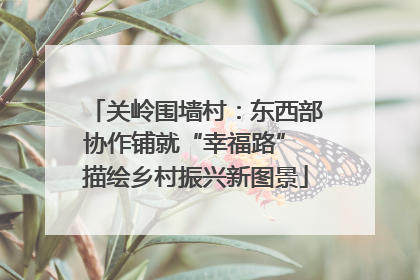 关岭围墙村：东西部协作铺就“幸福路” 描绘乡村振兴新图景