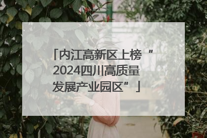 内江高新区上榜“2024四川高质量发展产业园区”