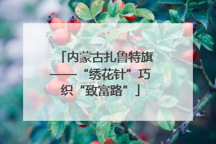 内蒙古扎鲁特旗——“绣花针”巧织“致富路”