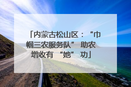 内蒙古松山区：“巾帼三农服务队” 助农增收有 “她” 功