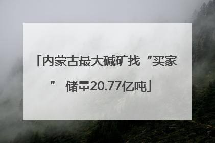 内蒙古最大碱矿找“买家” 储量20.77亿吨