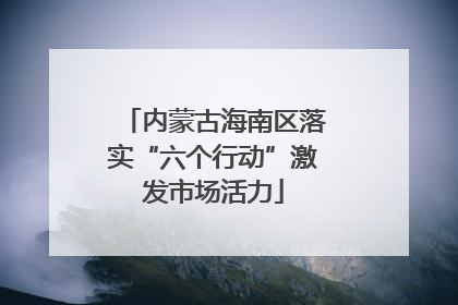 内蒙古海南区落实“六个行动”激发市场活力