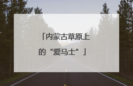 内蒙古草原上的“爱马士”