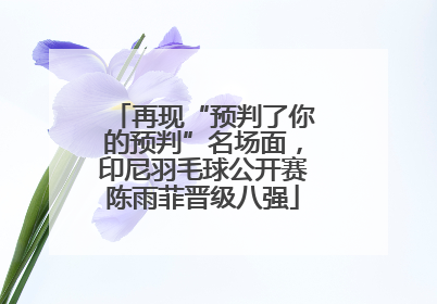 再现“预判了你的预判”名场面，印尼羽毛球公开赛陈雨菲晋级八强
