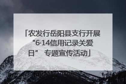 农发行岳阳县支行开展“6·14信用记录关爱日” 专题宣传活动