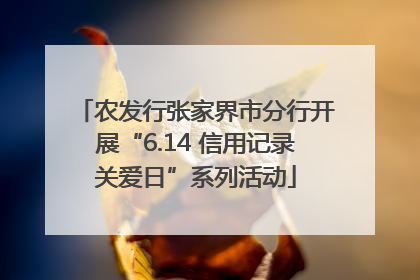农发行张家界市分行开展“6.14 信用记录关爱日”系列活动
