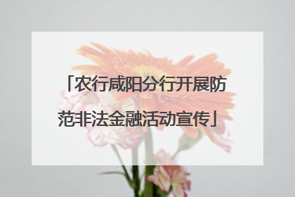 农行咸阳分行开展防范非法金融活动宣传
