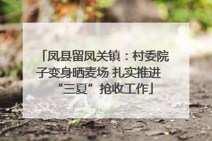 凤县留凤关镇：村委院子变身晒麦场 扎实推进“三夏”抢收工作