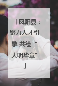 凤阳县：聚力人才引擎 共绘“大明华章”