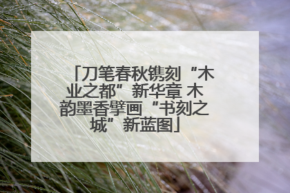 刀笔春秋镌刻“木业之都”新华章 木韵墨香擘画“书刻之城”新蓝图