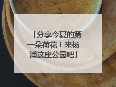 分享今夏的第一朵荷花！来杨浦这座公园吧