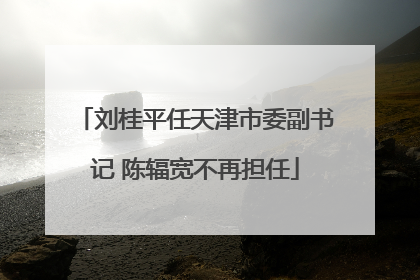 刘桂平任天津市委副书记 陈辐宽不再担任