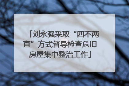 刘永强采取“四不两直”方式督导检查危旧房屋集中整治工作