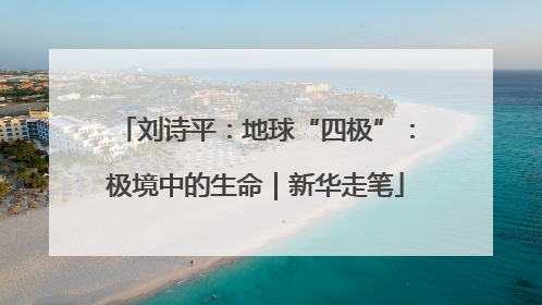 刘诗平：地球“四极”：极境中的生命｜新华走笔
