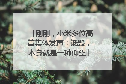刚刚，小米多位高管集体发声：诋毁，本身就是一种仰望