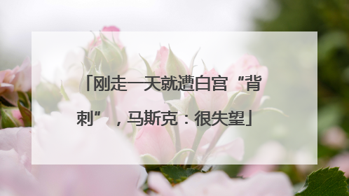 刚走一天就遭白宫“背刺”，马斯克：很失望