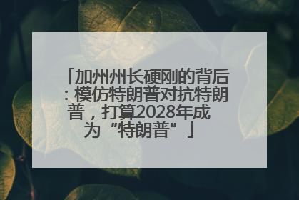 加州州长硬刚的背后：模仿特朗普对抗特朗普，打算2028年成为“特朗普”