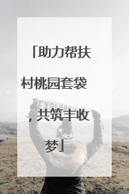 助力帮扶村桃园套袋，共筑丰收梦
