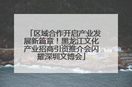 区域合作开启产业发展新篇章！黑龙江文化产业招商引资推介会闪耀深圳文博会