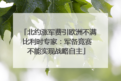 北约涨军费引欧洲不满 比利时专家：军备竞赛不能实现战略自主