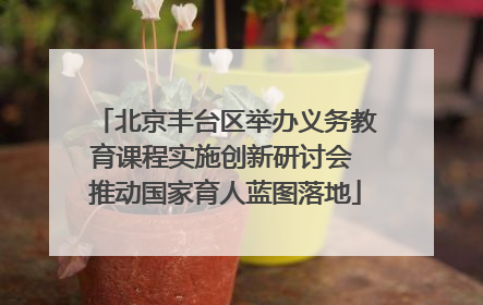 北京丰台区举办义务教育课程实施创新研讨会 推动国家育人蓝图落地
