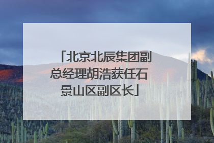 北京北辰集团副总经理胡浩获任石景山区副区长