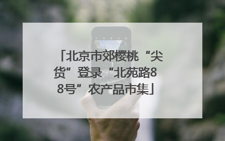 北京市郊樱桃“尖货”登录“北苑路88号”农产品市集
