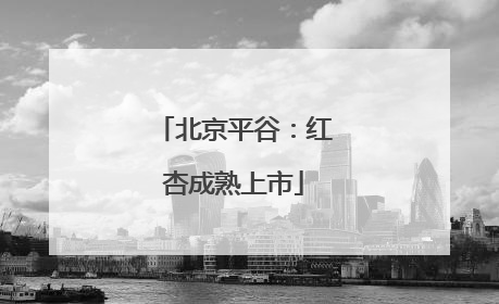 北京平谷：红杏成熟上市