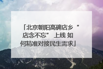 北京朝阳高碑店乡“店念不忘” 上线 如何精准对接民生需求