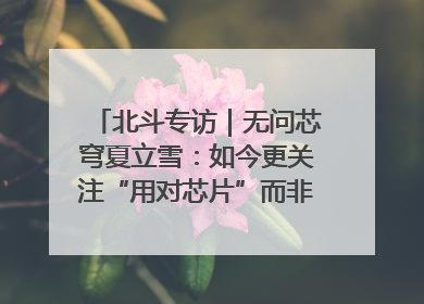 北斗专访｜无问芯穹夏立雪：如今更关注“用对芯片”而非“用贵芯片”